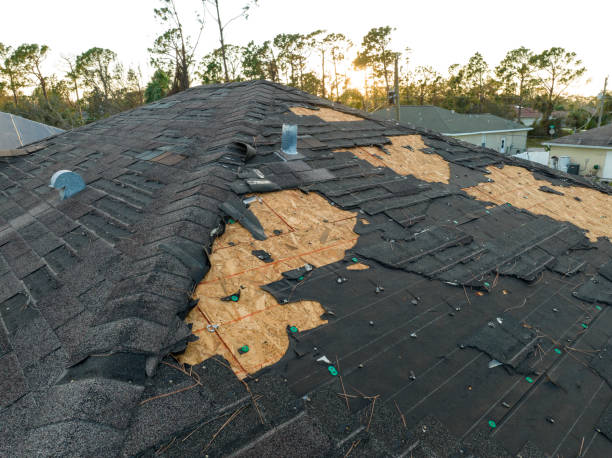 Best Roof Maintenance and Cleaning  in West Milwaukee, WI